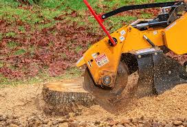 Best Lot and Land Clearing  in Lake Mohegan, NY