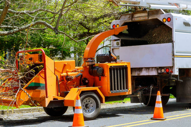 Best Hazardous Tree Removal  in Lake Mohegan, NY